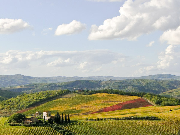 Tuscany-vineyards-by-frederic-poirot