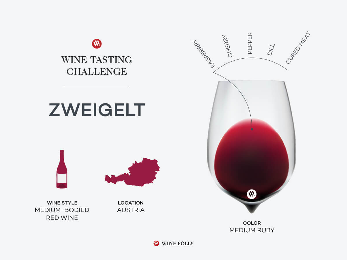 Infographic about Zweigelt Wine