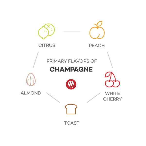 Champagne taste notes by Wine Folly