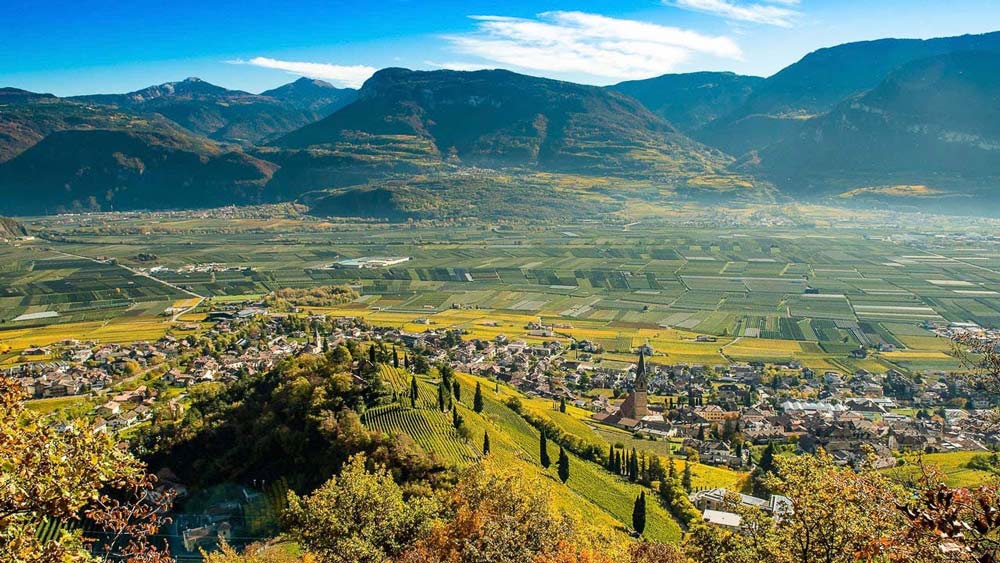 Alto Adige Wine Region Tramin area