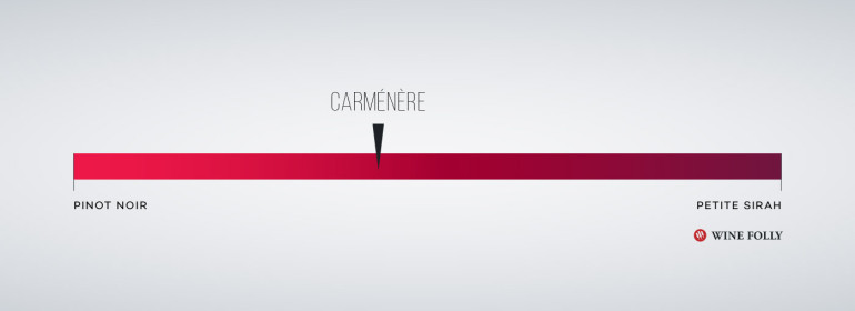 Carmenere Taste Comparison Profile by Wine Folly