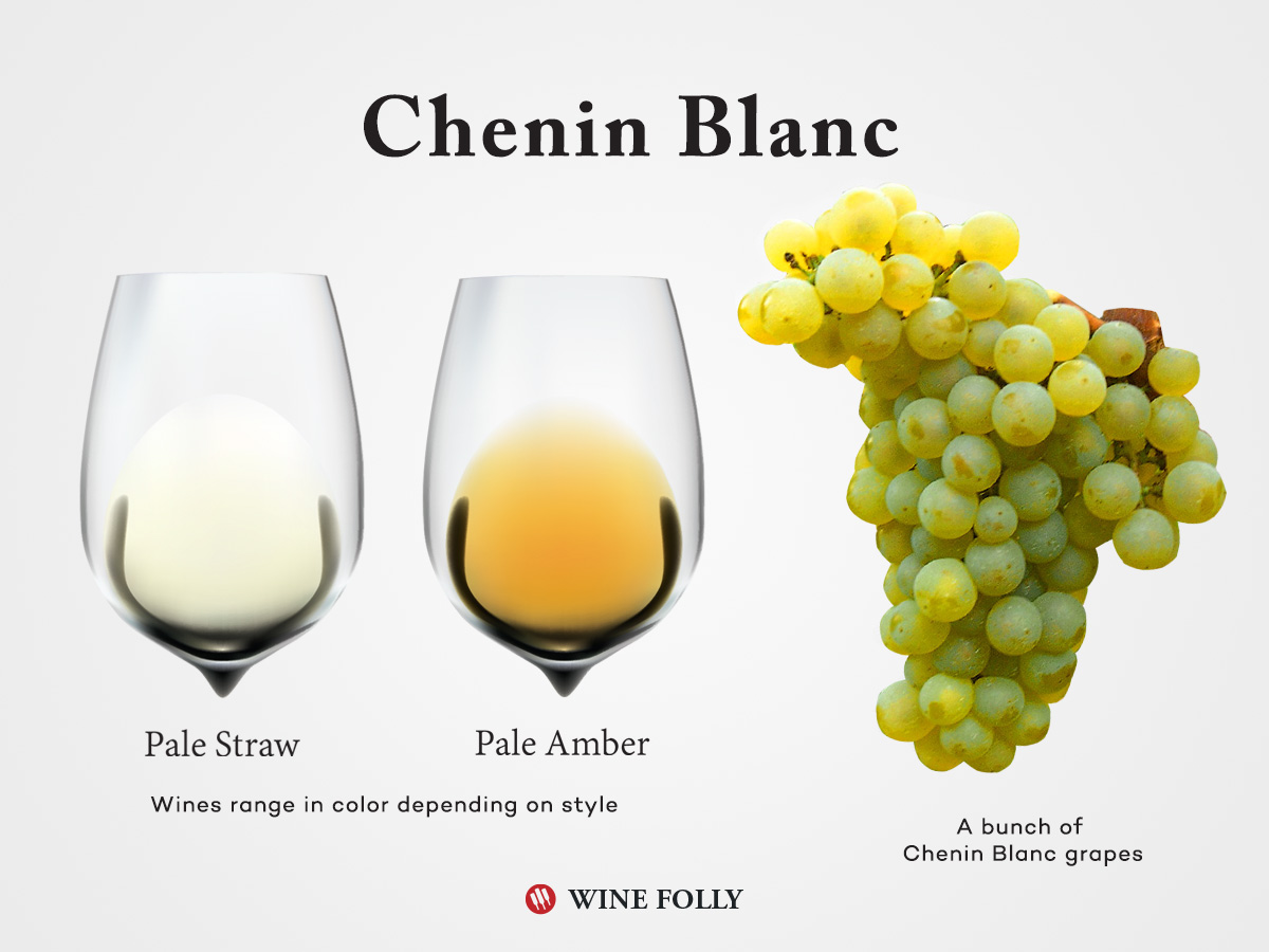 Chenin Blanc grapes and wine in glass with colors by Wine Folly