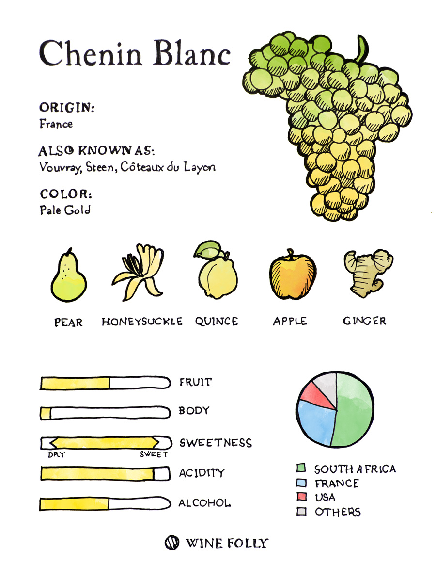 Chenin Blanc grapes illustration tasting profile by Wine Folly