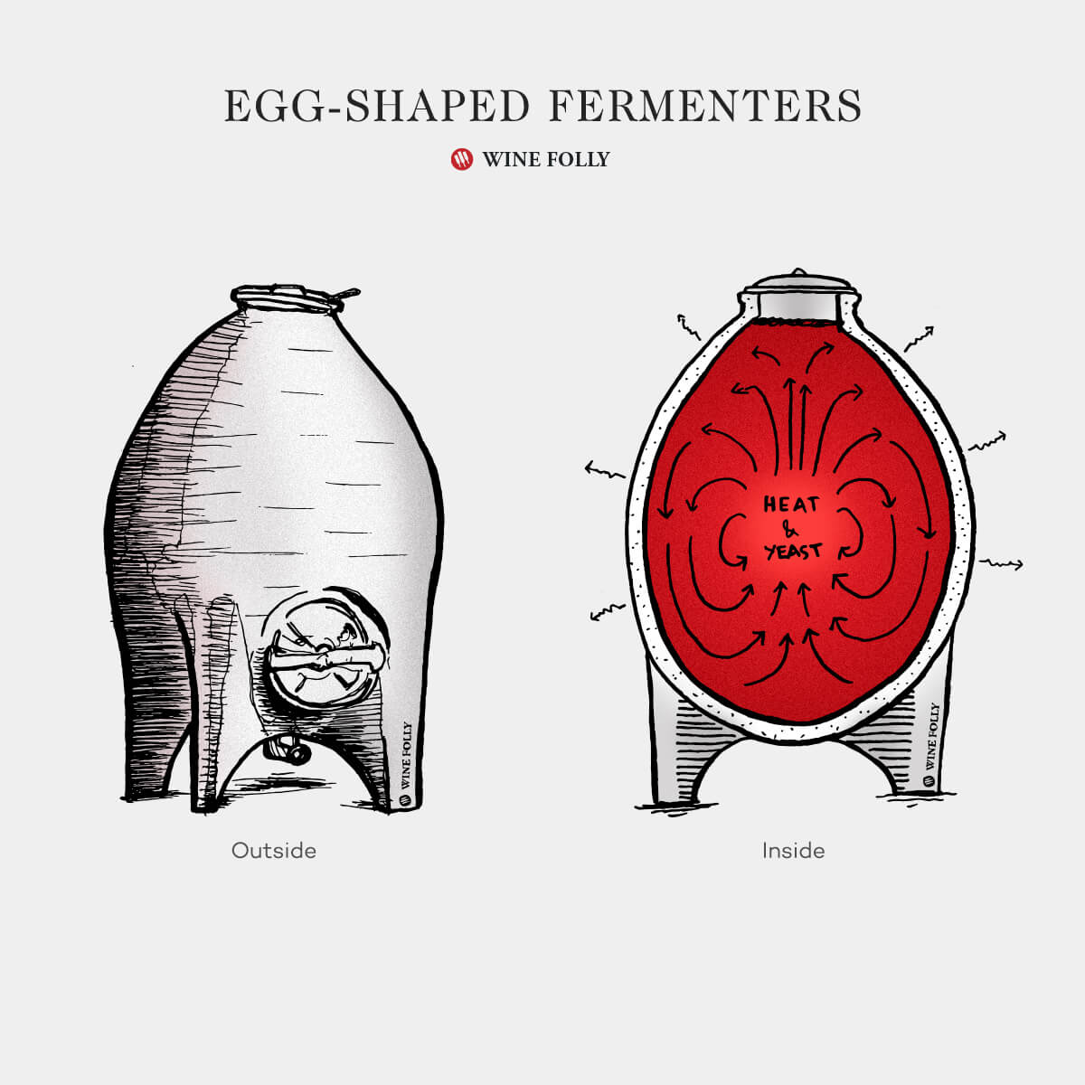 egg-shaped-fermenters-tanks-winefolly-illustration1200x1200