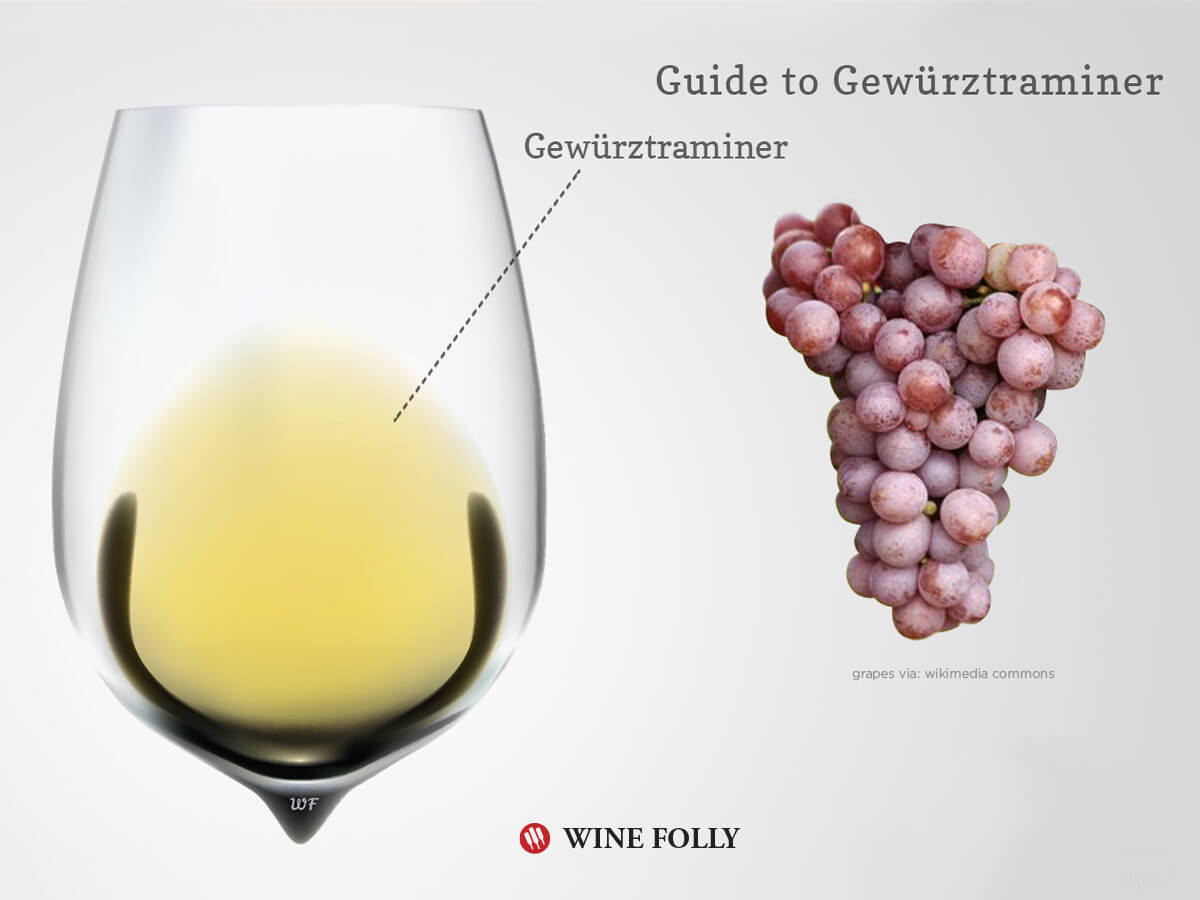 Gewürztraminer wine grapes and wine in glass by Wine Folly