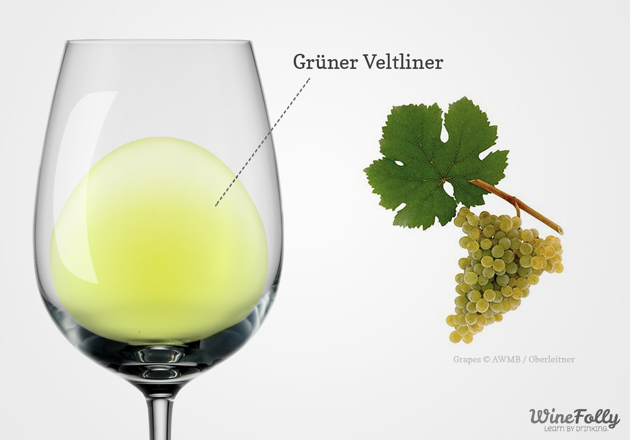 Gruner Veltliner wine glass with grapes