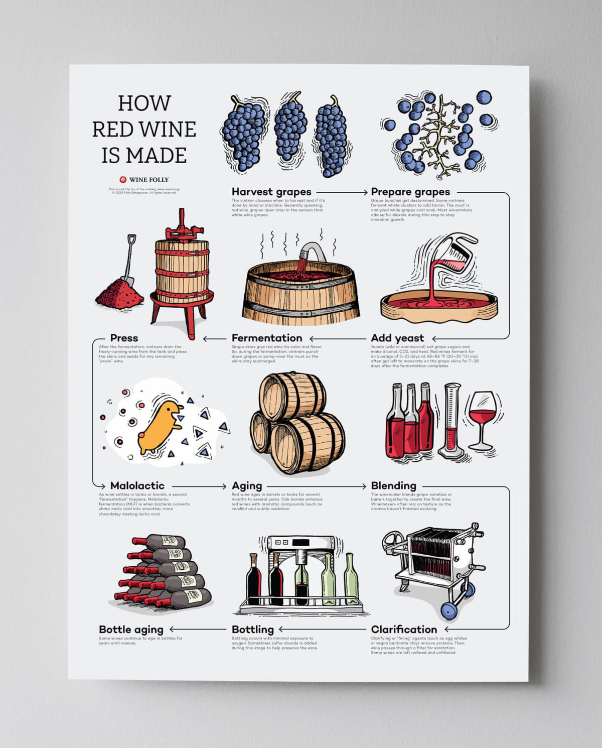 how-red-wine-is-made-poster-gray-bg