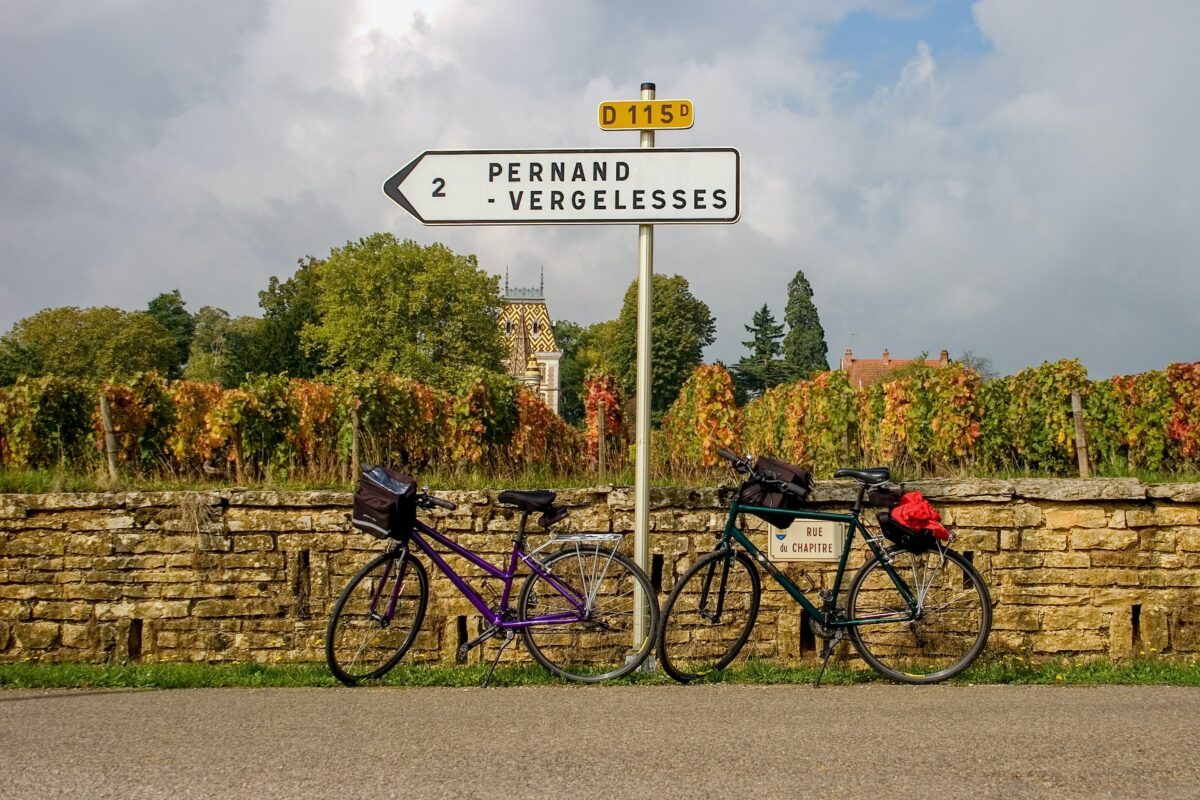 Photograph of bicycles sitting next to a vineyard in the autumn