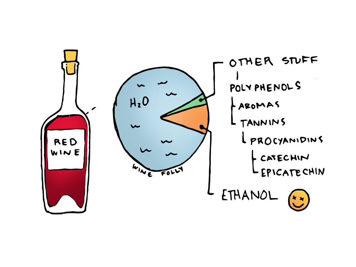 Red Wine Facts - Illustration by Wine Folly