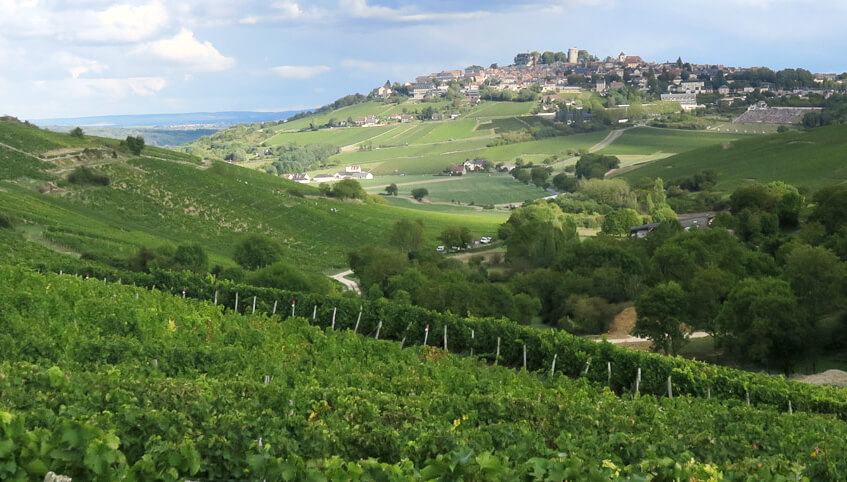 sancerre-delaporte-sauvignon-blanc-vineyards2