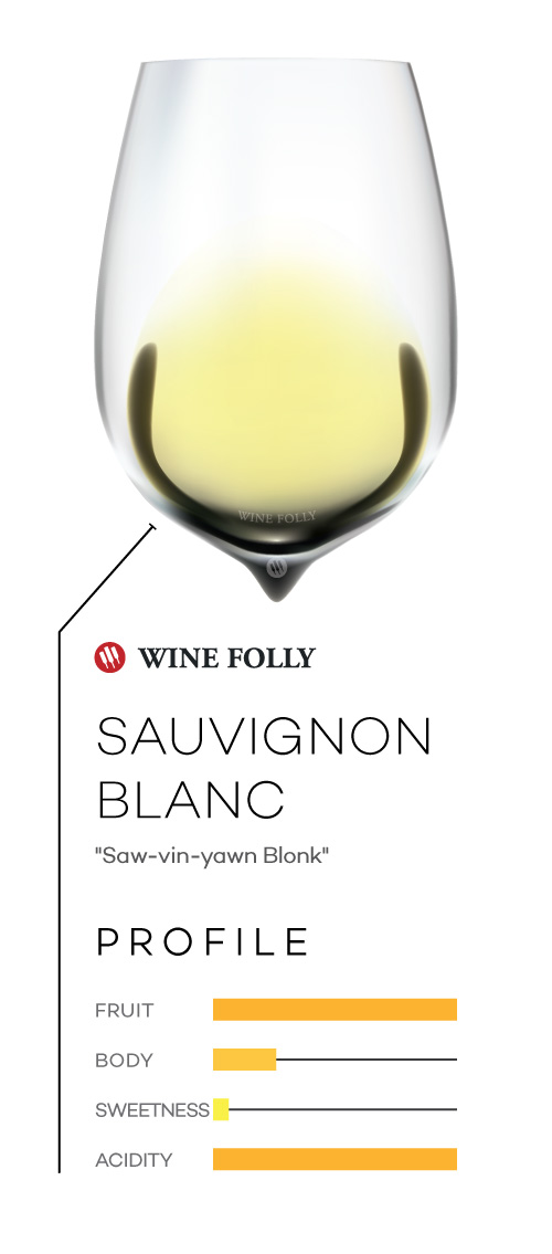 Sauvignon Blanc wine in a glass with taste profile and pronunciation