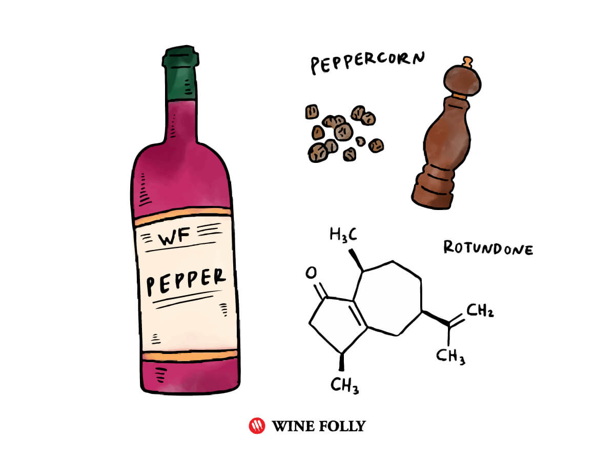 Spicy Red Wine Rotundone diagram