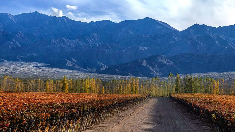 uco-valley-vineyards-argentina-guide
