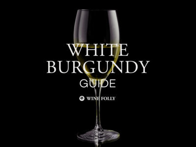 A Guide to White Burgundy, A French Chardonnay by Wine Folly