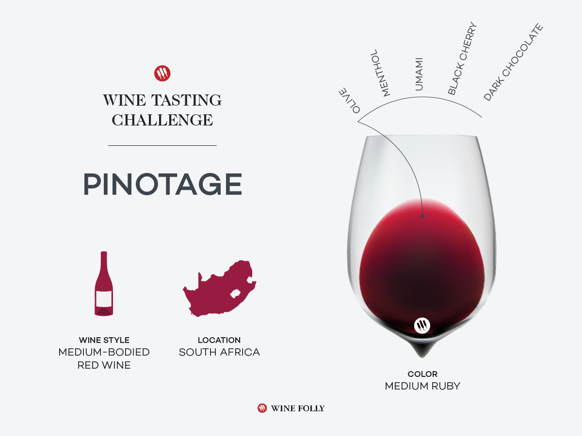 wine-tasting-challenge-south-african-pinotage-1200x900