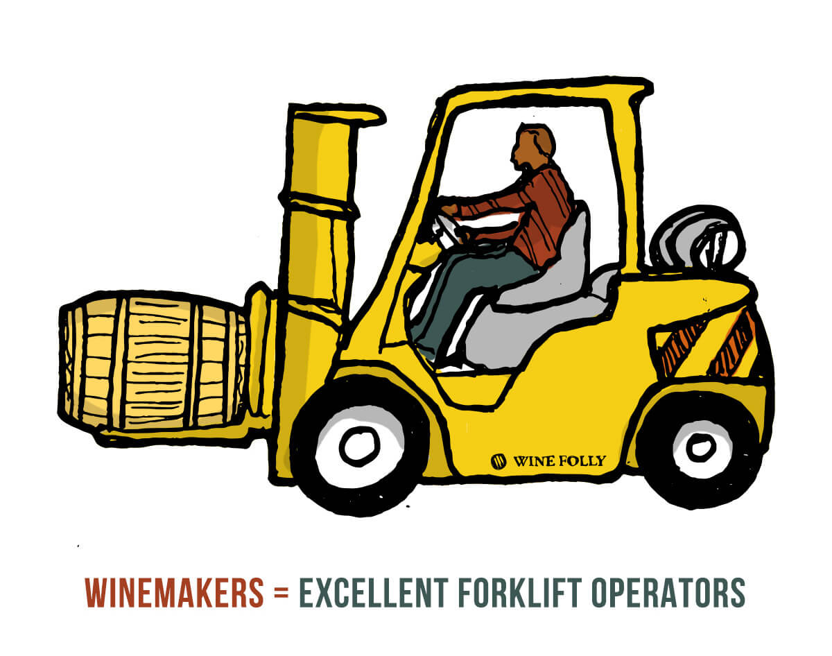 winemakers-drive-forklifts-illustration