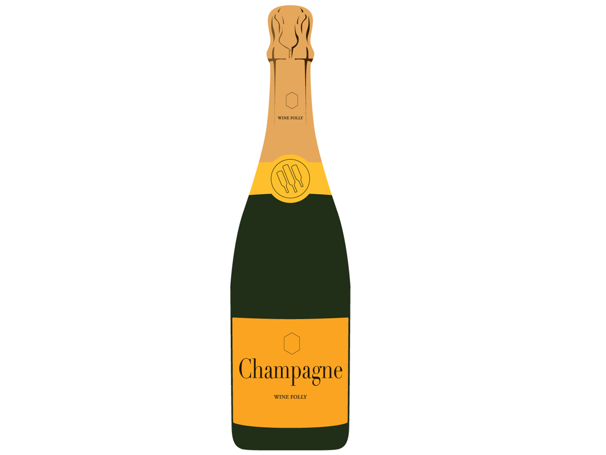 Champagne bottle gold label illustration by Wine Folly