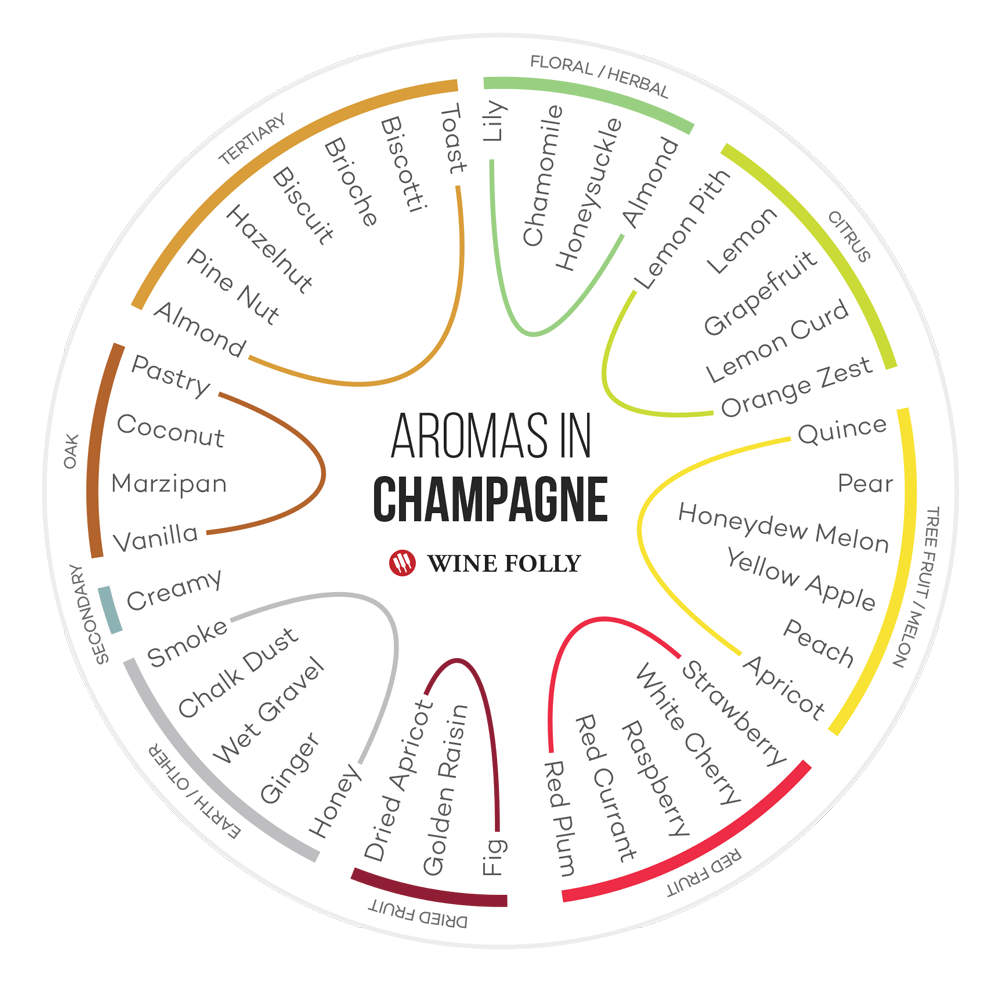 Champagne taste and flavors infographic by Wine Folly