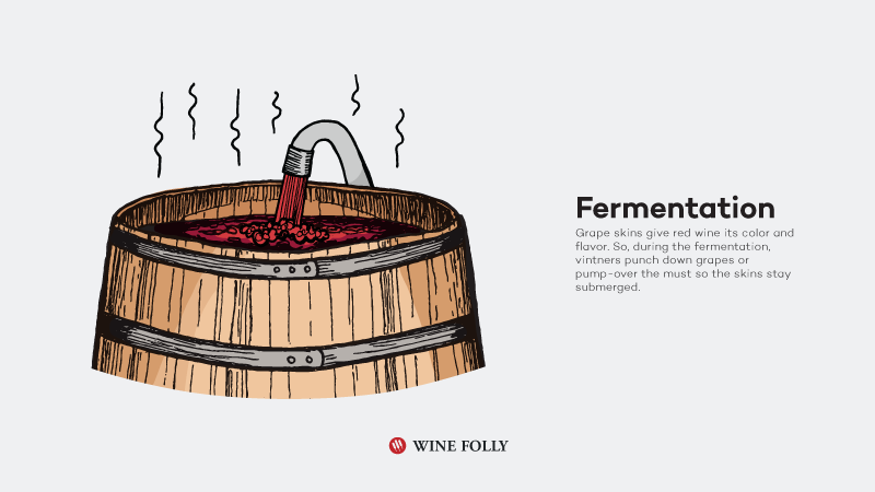 How-Red-Wine-Is-Made-fermentation