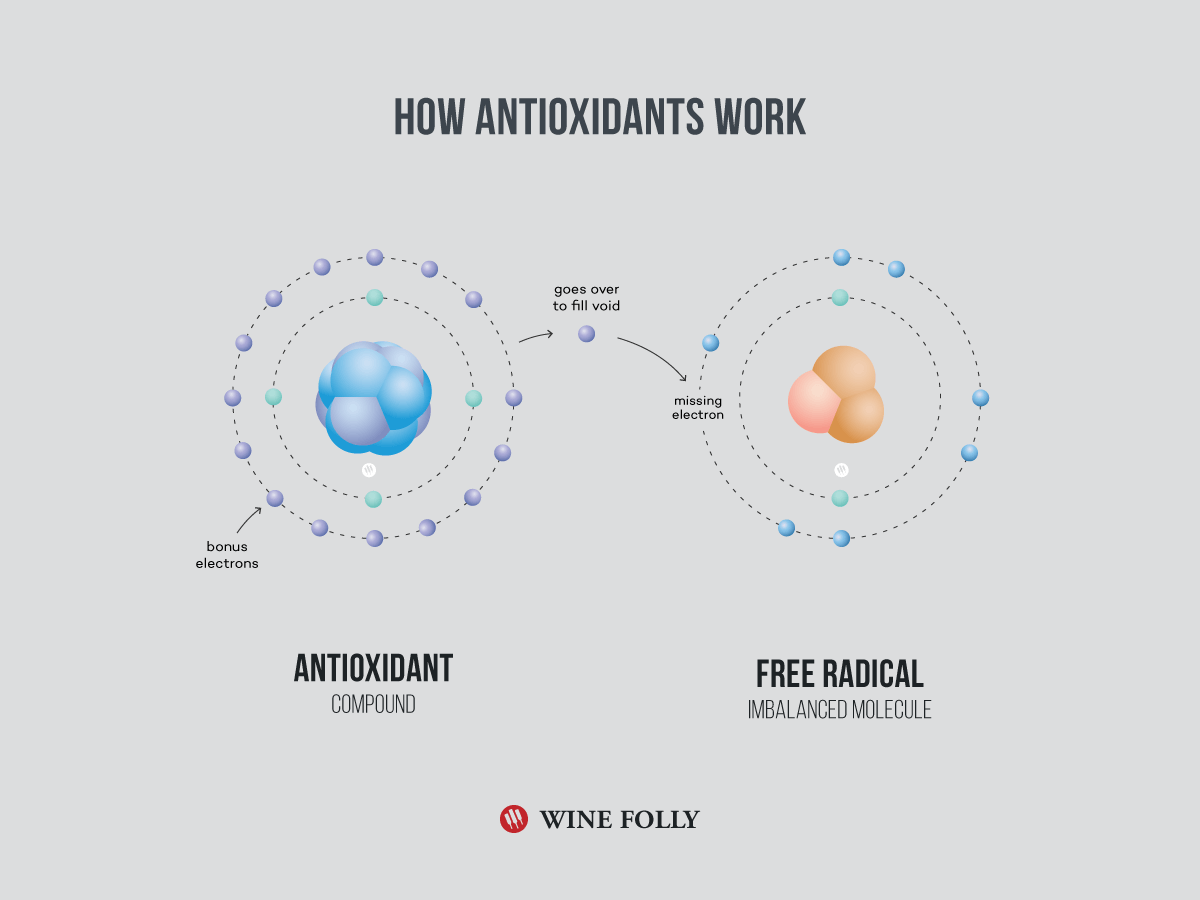 how-wine-antioxidants-work-infographic