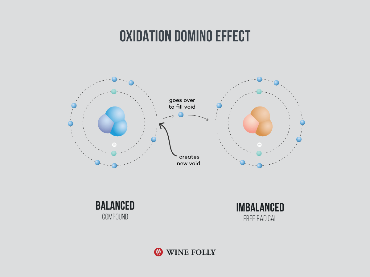 oxidation-domino-effect-infographic-winefolly