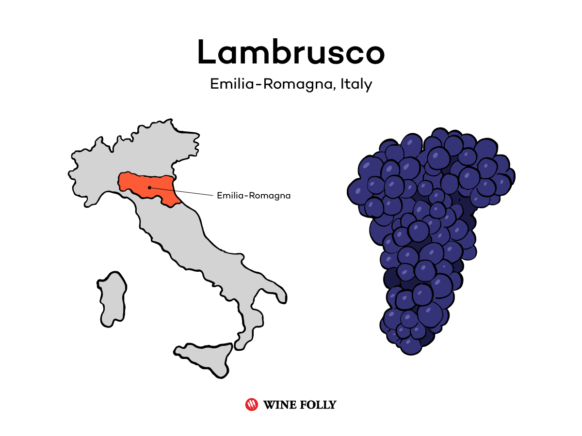 Lambrusco illustration