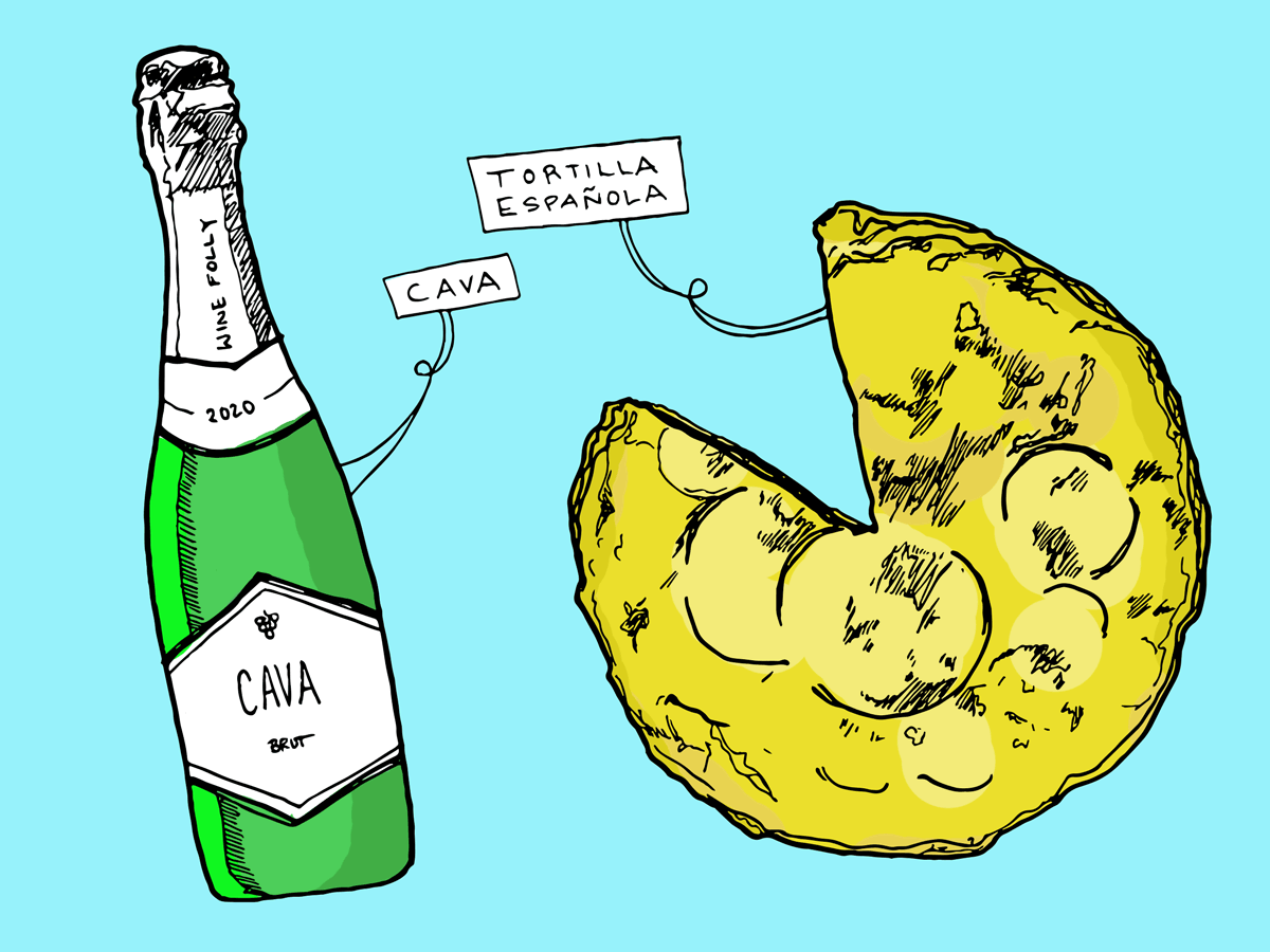 tortilla-espanola-cava-wine-folly-illustration