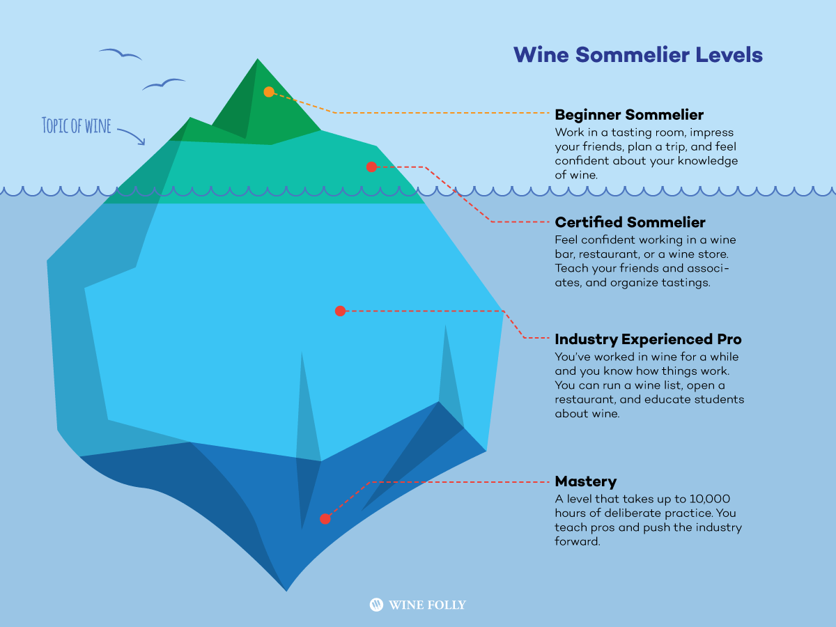 Wine Sommelier Levels Explained - Infographic by Wine Folly